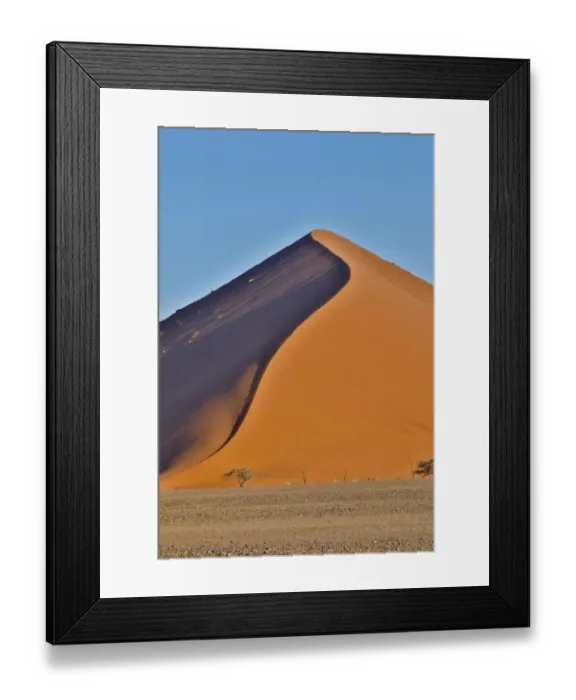 Framed Print : Lone tree and tall sand dune, Sossusvlei, Namibia