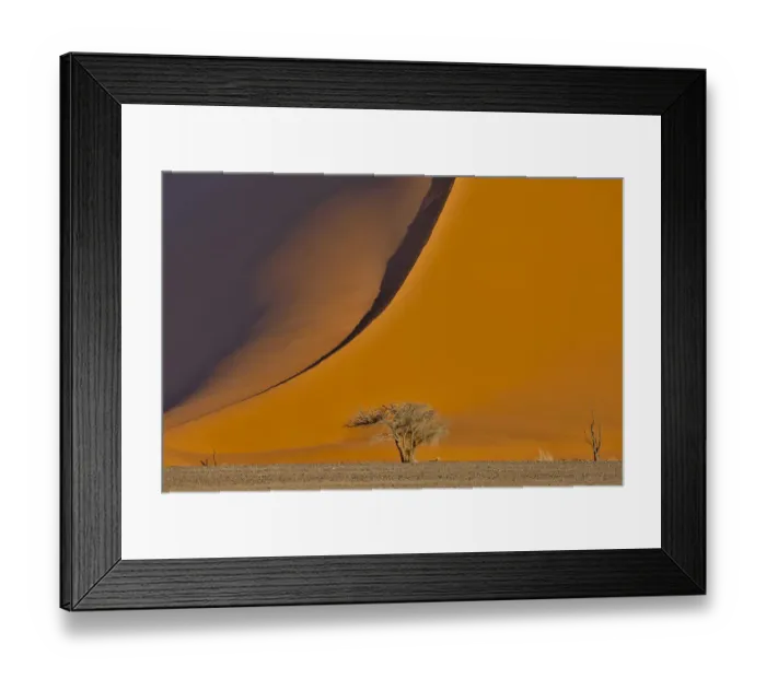 Framed Print : Lone tree and tall sand dune, Sossusvlei, Namibia Framed Print : Lone tree and tall sand dune, Sossusvlei, Namibia
