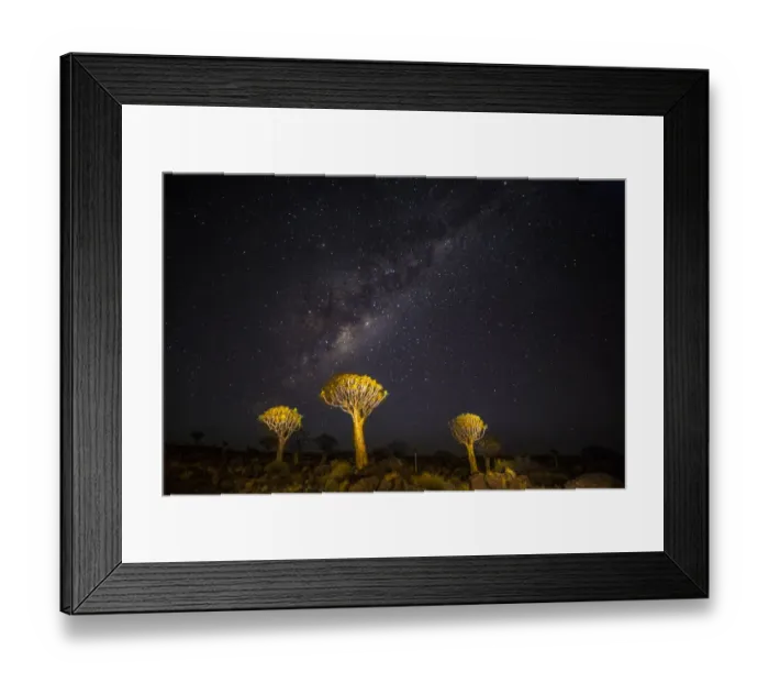 Framed Print : Africa, Namibia, Keetmanshoop. Milky Way over the Quiver tree Forest