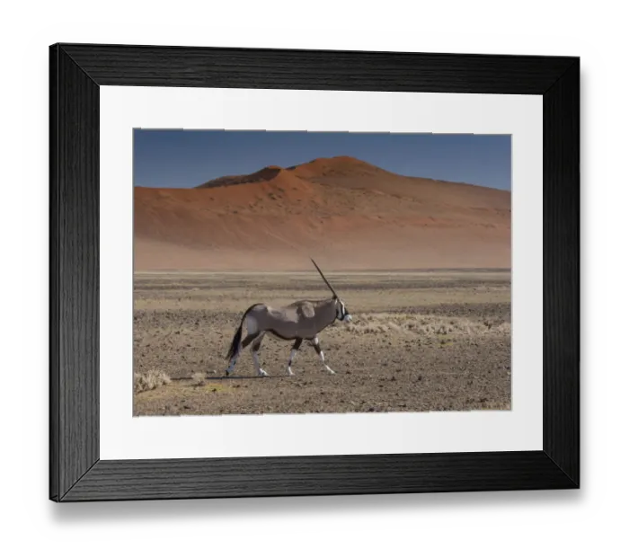 Framed Print : Oryx near Sand Dunes, Sossusvlei, Namibia