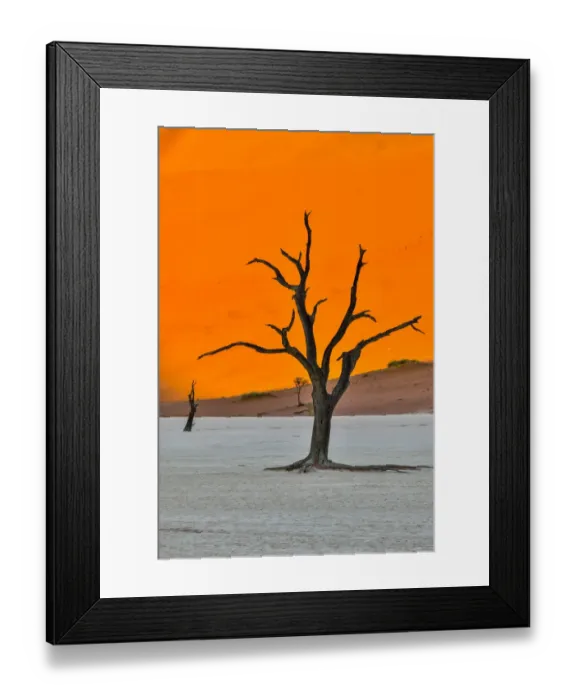 Framed Print : Africa, Namibia, Sossusvlei. Dead Acacia Trees in the White Clay Pan at Deadvlei