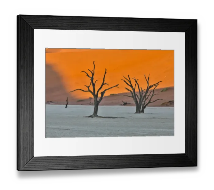 Framed Print : Africa, Namibia, Sossusvlei. Dead Acacia Trees in the White Clay Pan at Deadvlei Framed Print : Africa, Namibia, Sossusvlei. Dead Acacia Trees in the White Clay Pan at Deadvlei