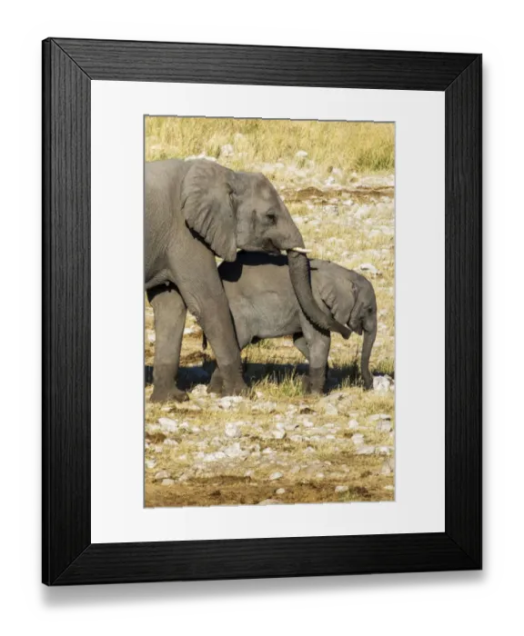 Framed Print : Africa, Namibia, Etosha National Park, Elephant and her Calf
