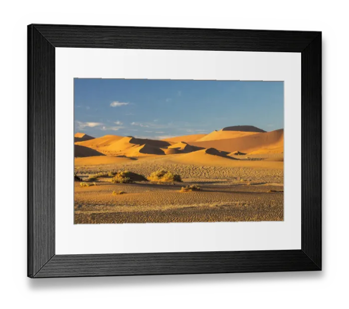 Framed Print : Africa, Namibia, Sossusvlei Dunes in the Morning Light Framed Print : Africa, Namibia, Sossusvlei Dunes in the Morning Light