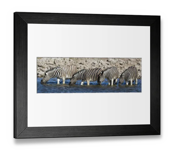 Framed Print : Africa, Namibia, Etosha National Park, Zebras at the Watering Hole Framed Print : Africa, Namibia, Etosha National Park, Zebras at the Watering Hole