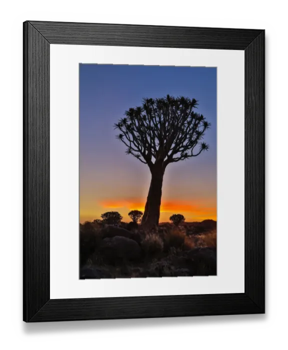 Framed Print : Africa, Namibia, Keetmanshoop, sunset at the Quiver tree Forest at the Quiver tree