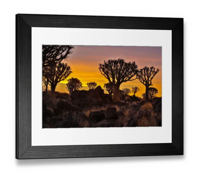 Framed Print : Africa, Namibia, Keetmanshoop, sunset at the Quiver tree Forest at the Quiver tree