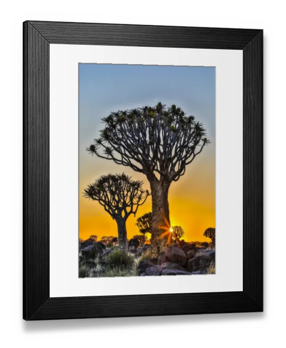 Framed Print : Africa, Namibia, sunrise at the Quiver tree Forest at the Quiver tree Forest Rest Camp