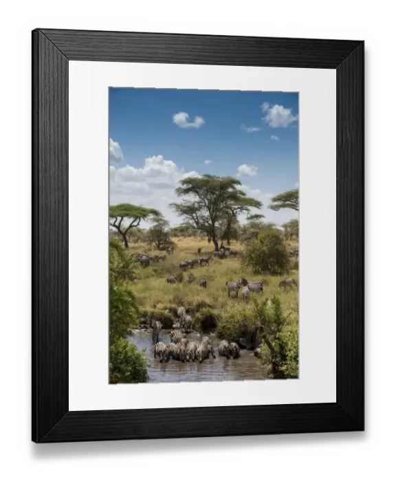 Framed Print : Africa, Tanzania, Serengeti National Park