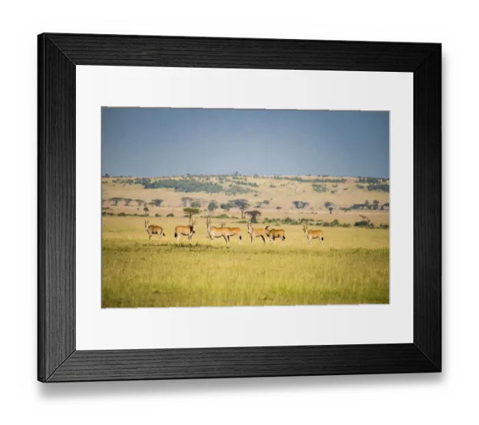 Framed Print : Africa, Tanzania, Serengeti National Park