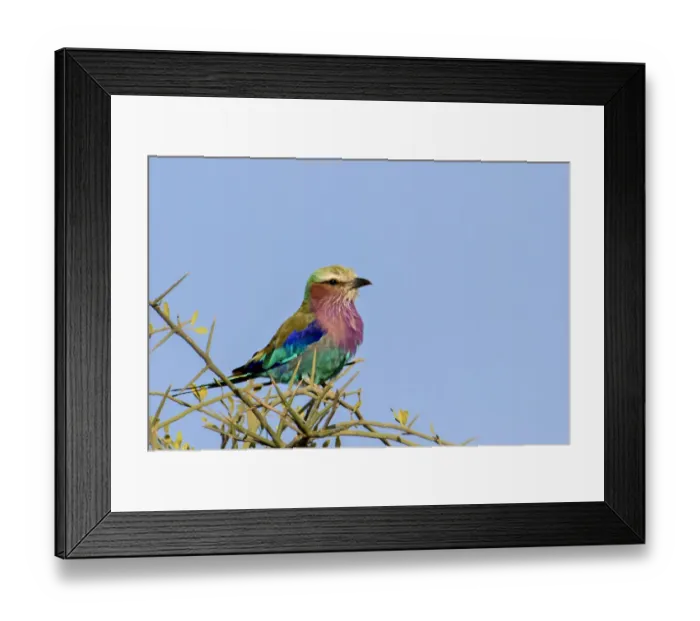 Framed Print : Africa, Tanzania, Ngorongoro Conservation Area Framed Print : Africa, Tanzania, Ngorongoro Conservation Area