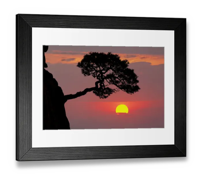 Framed Print : Tree on granite mountain peak at sunrise, Yellow Mountain or Huangshan