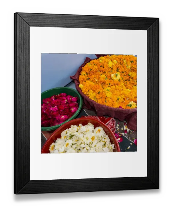 Framed Print : India, Rajasthan, Pipar. No Water No Life expedition, vendor making necklaces of marigolds Framed Print : India, Rajasthan, Pipar. No Water No Life expedition, vendor making necklaces of marigolds
