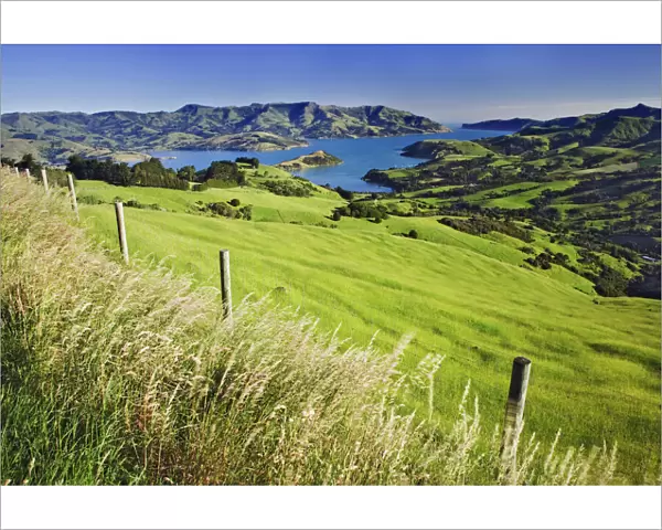 New Zealand, South Island. Akaroa Harbor landscape