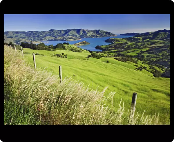 New Zealand, South Island. Akaroa Harbor landscape