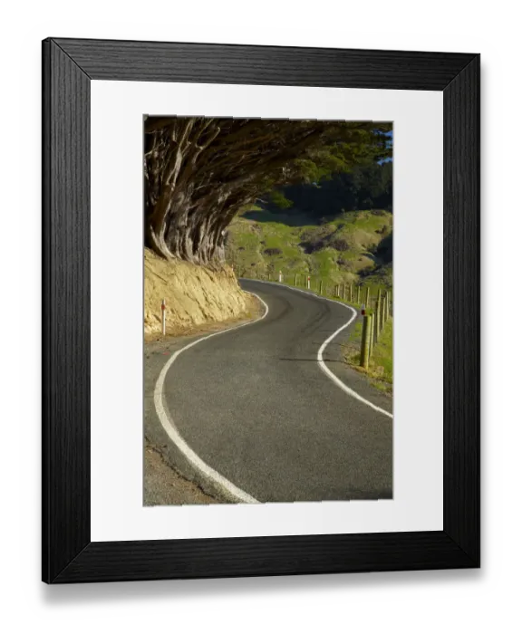 Framed Print : Highcliff Rd, Otago Peninsula, Dunedin, South Island, New Zealand