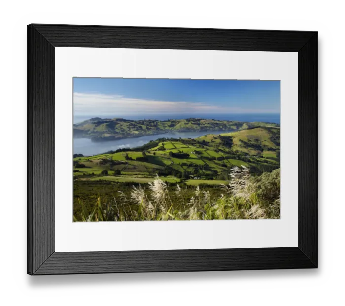 Framed Print : Farmland at Upper Junction, and Otago Harbor and Otago Peninsula, Dunedin, South Island Framed Print : Farmland at Upper Junction, and Otago Harbor and Otago Peninsula, Dunedin, South Island