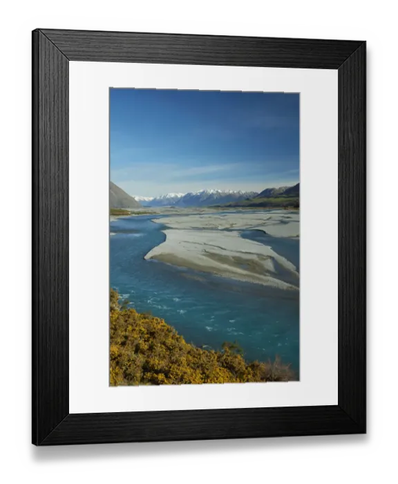 Framed Print : Braided streams of the Rakaia River, and gorse in flower, Mid Canterbury, South Island Framed Print : Braided streams of the Rakaia River, and gorse in flower, Mid Canterbury, South Island