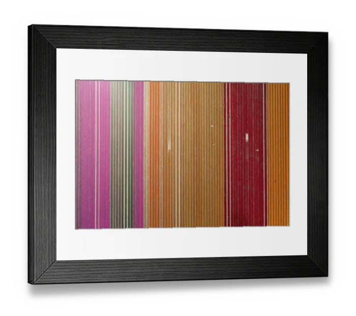 Framed Print : Aerial of workers in colorful tulip fields, Edendale, Southland, South Island, New Framed Print : Aerial of workers in colorful tulip fields, Edendale, Southland, South Island, New
