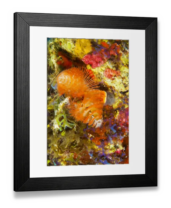 Framed Print : Northern Bahamas, Caribbean Framed Print : Northern Bahamas, Caribbean