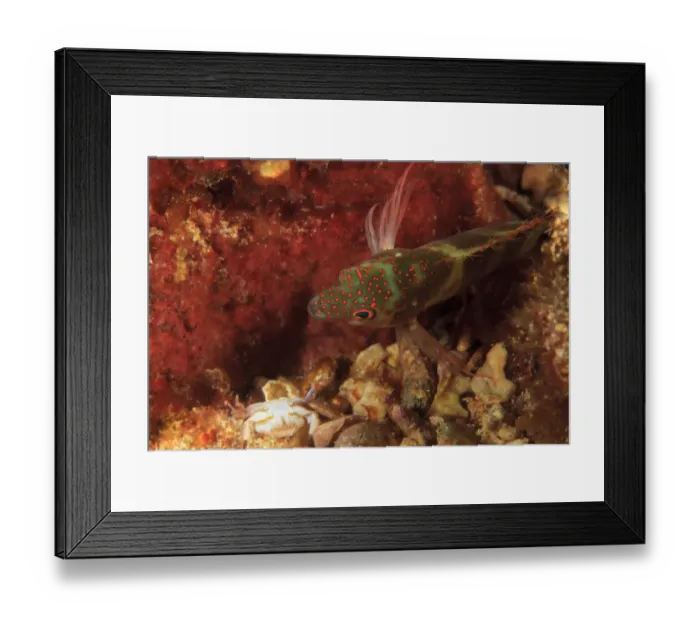 Framed Print : Northern Bahamas, Caribbean Framed Print : Northern Bahamas, Caribbean