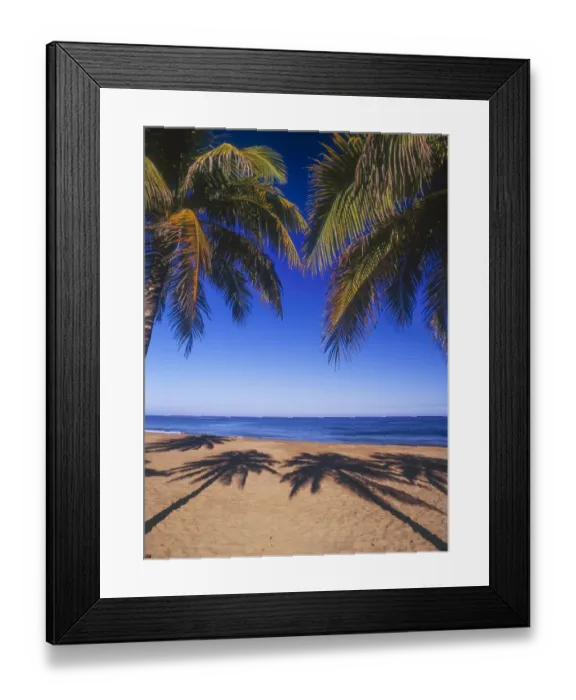 Framed Print : Beach of the Peak, Puerto Rico. Palm trees and their shadows on beach