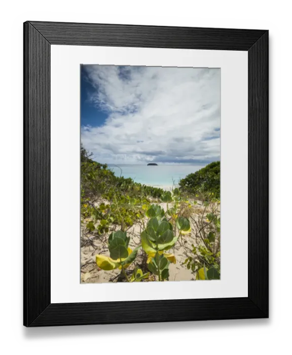 Framed Print : French West Indies, St-Barthelemy. Anse de Grande Saline beach Framed Print : French West Indies, St-Barthelemy. Anse de Grande Saline beach