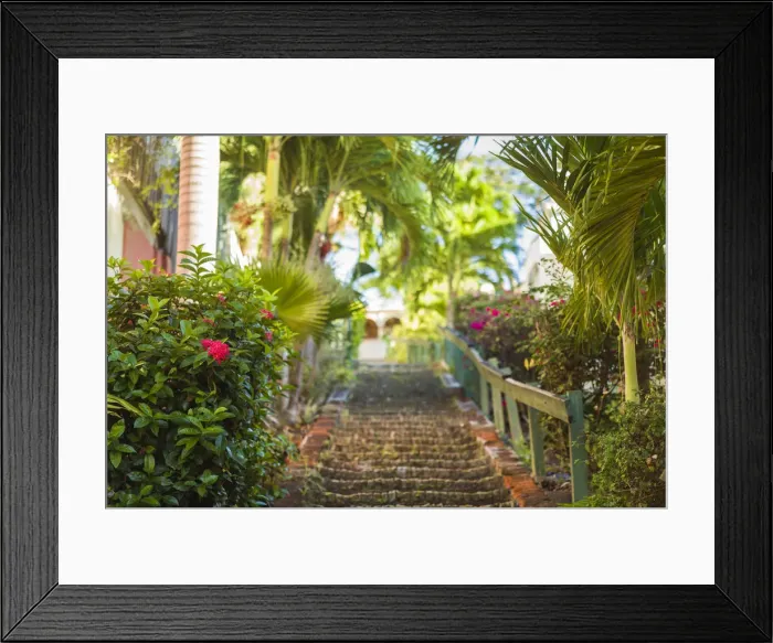 Framed Print : U. S. Virgin Islands, St. Thomas. Charlotte Amalie, The 99 Steps Framed Print : U. S. Virgin Islands, St. Thomas. Charlotte Amalie, The 99 Steps