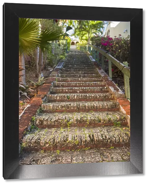 U. S. Virgin Islands, St. Thomas. Charlotte Amalie, The 99 Steps