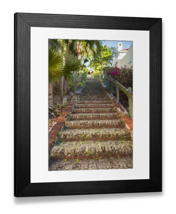 Framed Print : U. S. Virgin Islands, St. Thomas. Charlotte Amalie, The 99 Steps Framed Print : U. S. Virgin Islands, St. Thomas. Charlotte Amalie, The 99 Steps