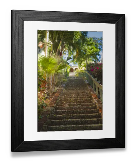 Framed Print : U. S. Virgin Islands, St. Thomas. Charlotte Amalie, The 99 Steps Framed Print : U. S. Virgin Islands, St. Thomas. Charlotte Amalie, The 99 Steps