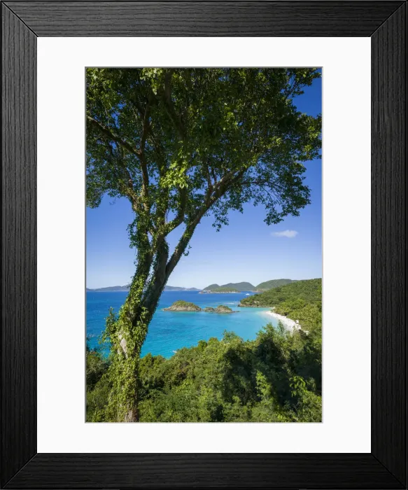 Framed Print : U. S. Virgin Islands, St. John. Trunk Bay and beach