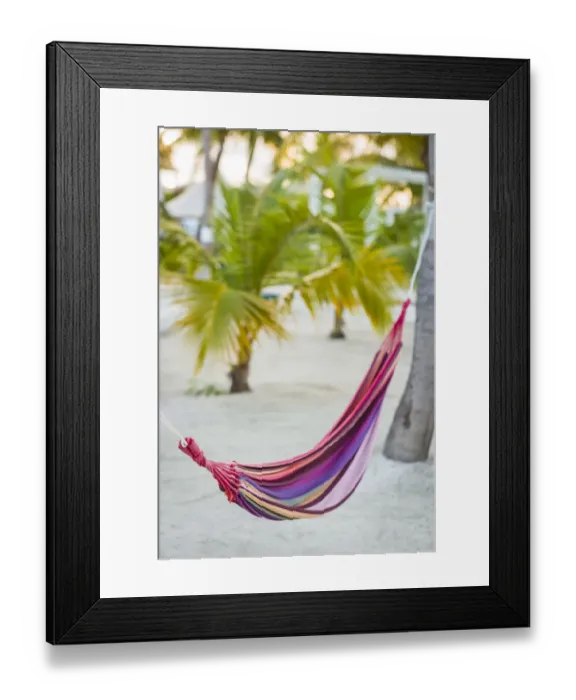 Framed Print : French West Indies, Saint Martin. Baie Nettle, hammock and palm tree Framed Print : French West Indies, Saint Martin. Baie Nettle, hammock and palm tree