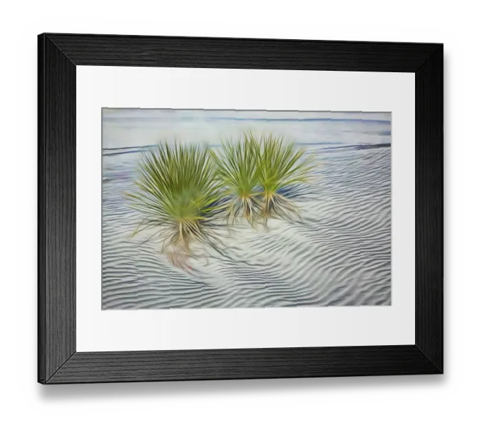Framed Print : USA, New Mexico, White Sands National Monument. Abstract of agaves in white gypsum sand