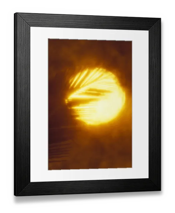 Framed Print : Palm tree and sunset abstract
