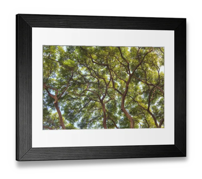 Framed Print : Maui, Hawaii, USA Framed Print : Maui, Hawaii, USA