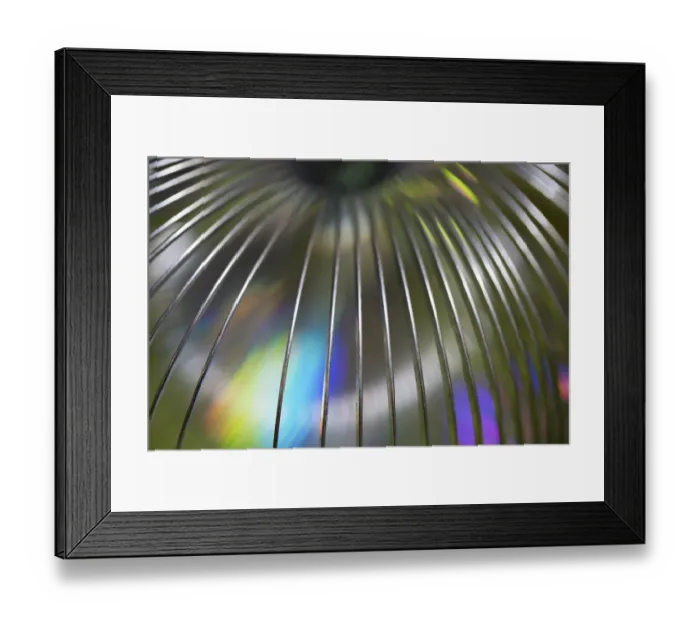 Framed Print : USA, Martinsville, Indiana. Close-up of a slinky