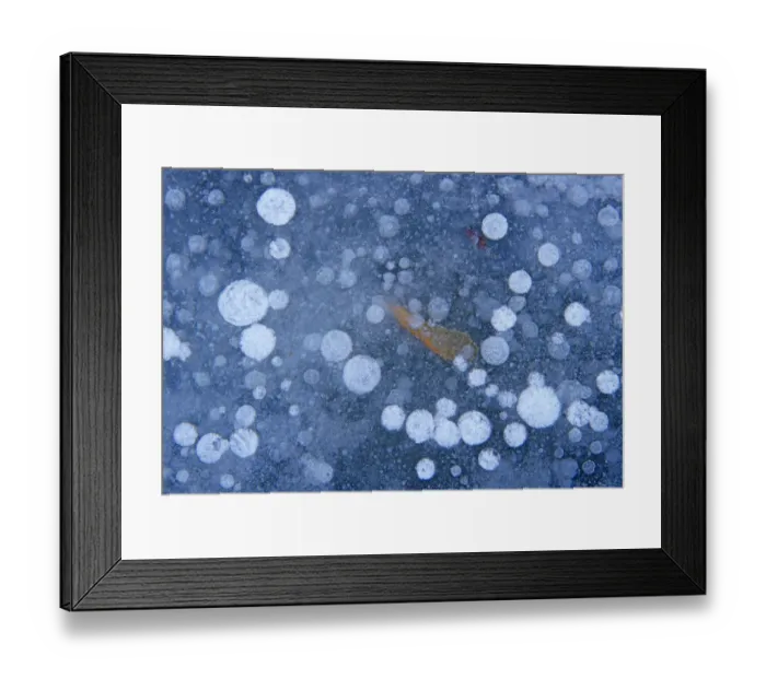 Framed Print : Canada, Manitoba, Winnipeg. Ice bubbles on frozen Seine River Framed Print : Canada, Manitoba, Winnipeg. Ice bubbles on frozen Seine River
