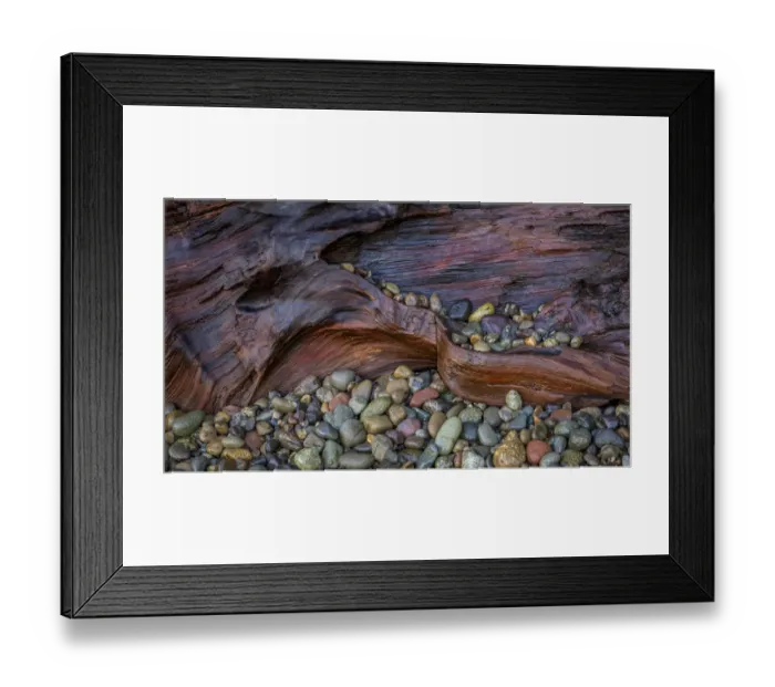 Framed Print : USA, Washington State, Seabeck. Wet driftwood and beach rocks