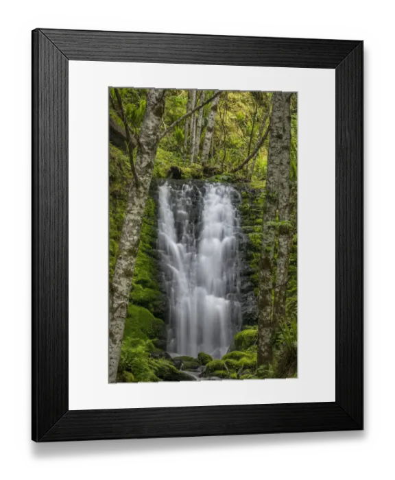 Framed Print : USA, Washington State, Gifford Pinchot National Forest. Waterfall scenic. Credit as