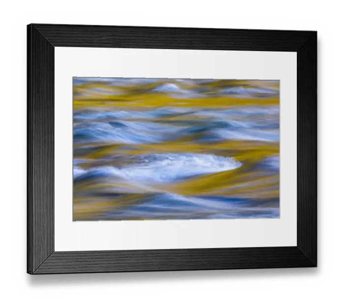 Framed Print : USA, Washington State, Olympic National Park. Golden river reflections from sunlit maple trees Framed Print : USA, Washington State, Olympic National Park. Golden river reflections from sunlit maple trees