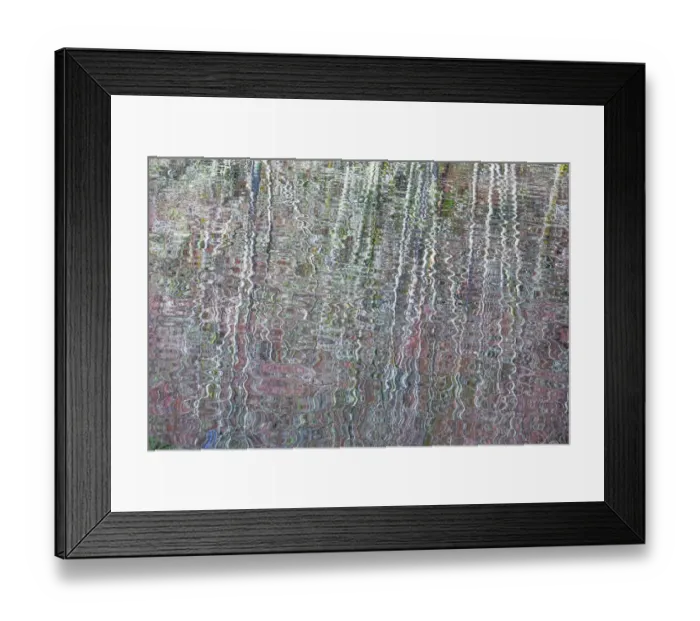 Framed Print : USA, Washington State, Bainbridge Island. Reflection of alder trees on pond. Credit as