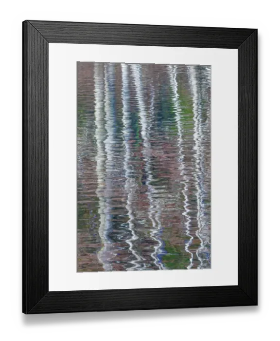 Framed Print : USA, Washington State, Bainbridge Island. Reflection of alder trees on pond. Credit as