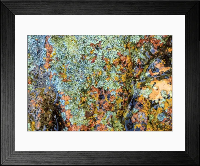 Framed Print : Large naturally polished rock with lichen, Lower Deschutes River, Central Oregon, USA Framed Print : Large naturally polished rock with lichen, Lower Deschutes River, Central Oregon, USA