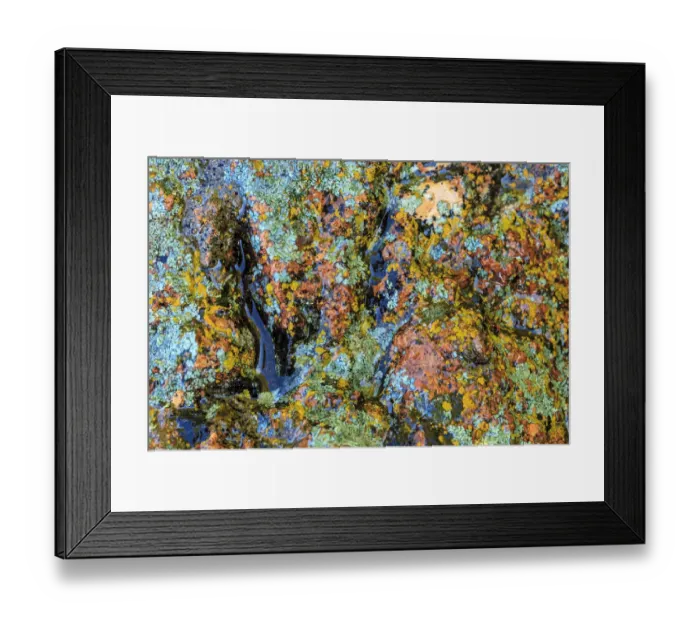 Framed Print : Large naturally polished rock with lichen, Lower Deschutes River, Central Oregon, USA Framed Print : Large naturally polished rock with lichen, Lower Deschutes River, Central Oregon, USA
