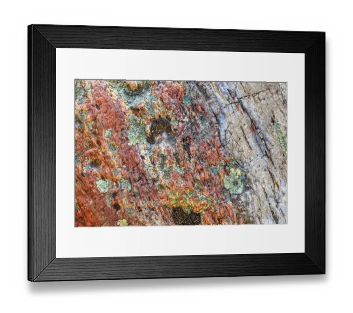 Framed Print : Large naturally polished rock with lichen, Lower Deschutes River, Central Oregon, USA Framed Print : Large naturally polished rock with lichen, Lower Deschutes River, Central Oregon, USA