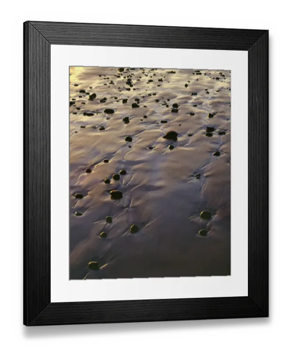 Framed Print : USA, Oregon. Evening light defines wet beach with scattered rocks, near Oceanside Framed Print : USA, Oregon. Evening light defines wet beach with scattered rocks, near Oceanside