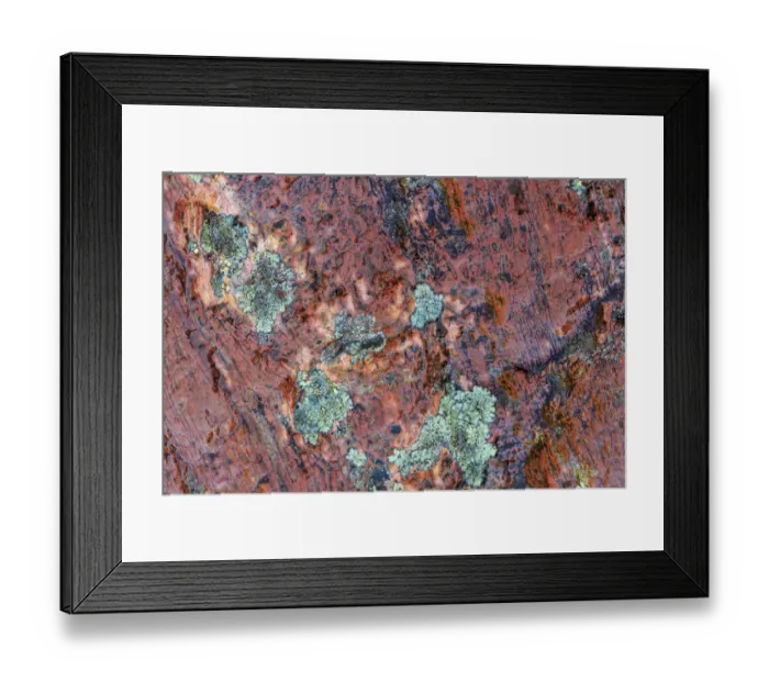 Framed Print : Large naturally polished rock with lichen, Lower Deschutes River, Central Oregon, USA Framed Print : Large naturally polished rock with lichen, Lower Deschutes River, Central Oregon, USA