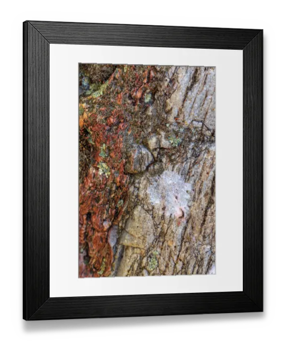 Framed Print : Large naturally polished rock with lichen, Lower Deschutes River, Central Oregon, USA Framed Print : Large naturally polished rock with lichen, Lower Deschutes River, Central Oregon, USA