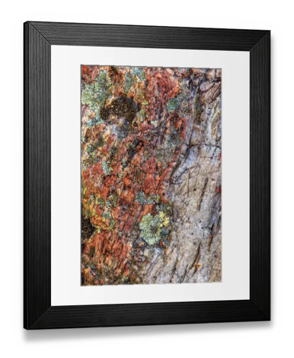 Framed Print : Large naturally polished rock with lichen, Lower Deschutes River, Central Oregon, USA Framed Print : Large naturally polished rock with lichen, Lower Deschutes River, Central Oregon, USA